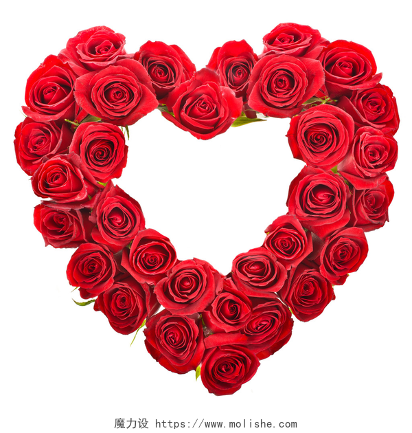在白色背景的红玫瑰心形心脏形孤立在白色背景的红玫瑰的花束